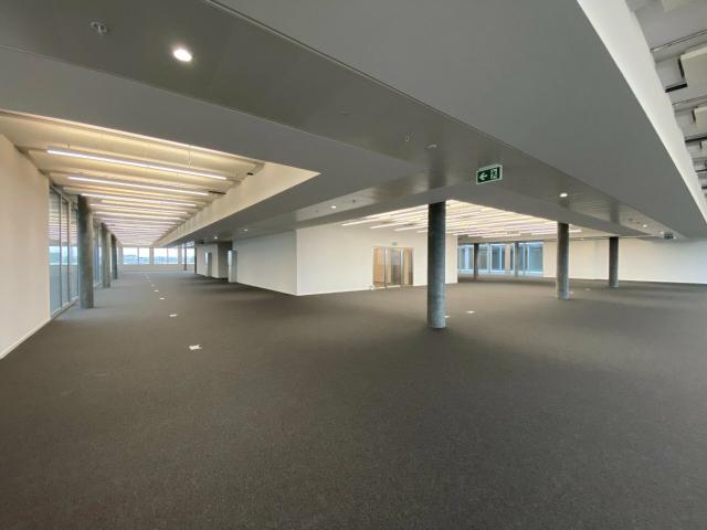 Büro kaufen in Plan-les-Ouates