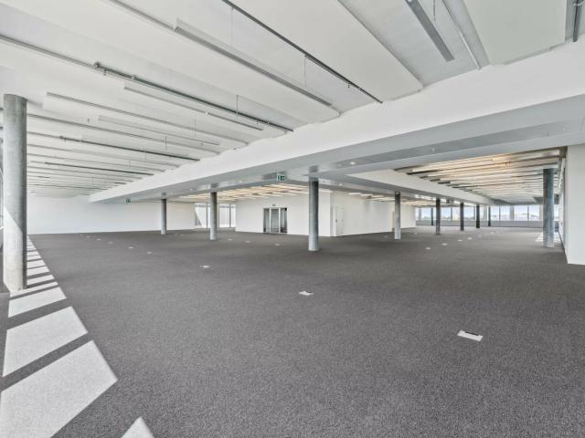 Büro kaufen in Plan-les-Ouates