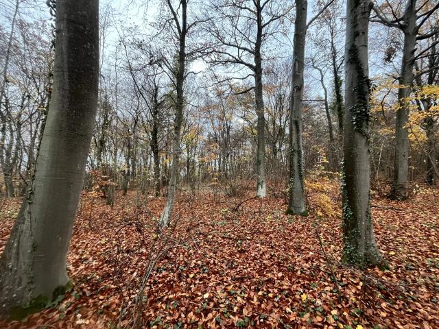 Terrain vente à Soissons, Belleu