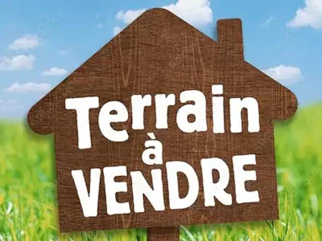 Terrain vente à La Roche-sur-Yon, Belleville-sur-vie