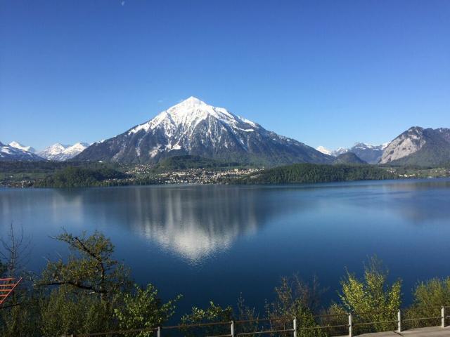 Wohnung kaufen in Gunten, Bern