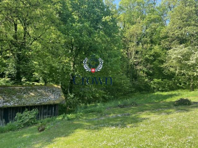 Einfamilienhaus kaufen in Bellevue