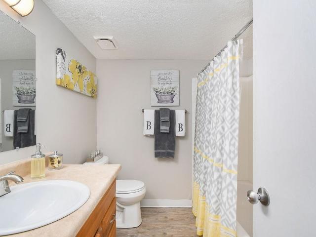 Apartment for rent in Pheasant Ridge, Bellevue