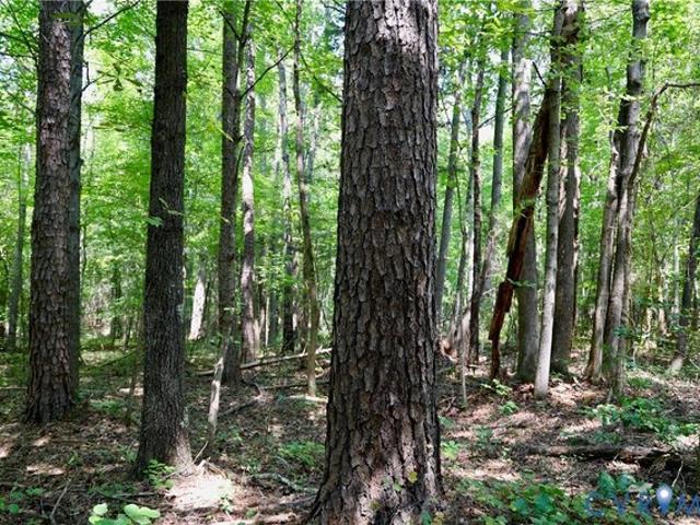 Land for sale in Virginia