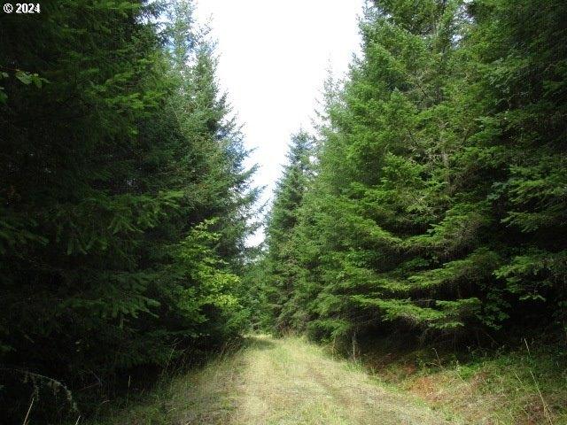 Land for sale in Lebanon, Linn County