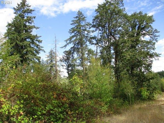 Land for sale in Lebanon, Linn County