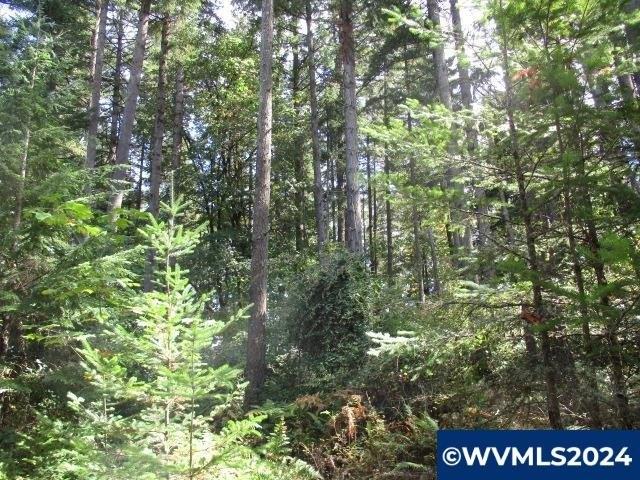 Land for sale in Lebanon, Linn County