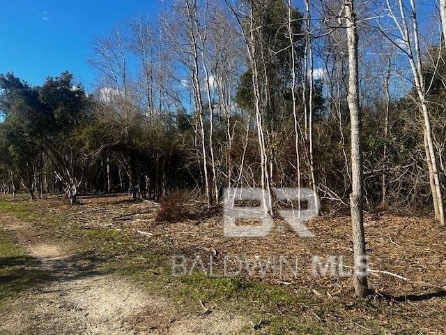 Land for sale in Mobile, Alabama