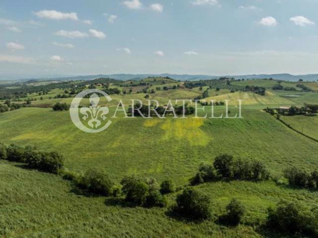Casa in vendita a Capalbio, Toscana