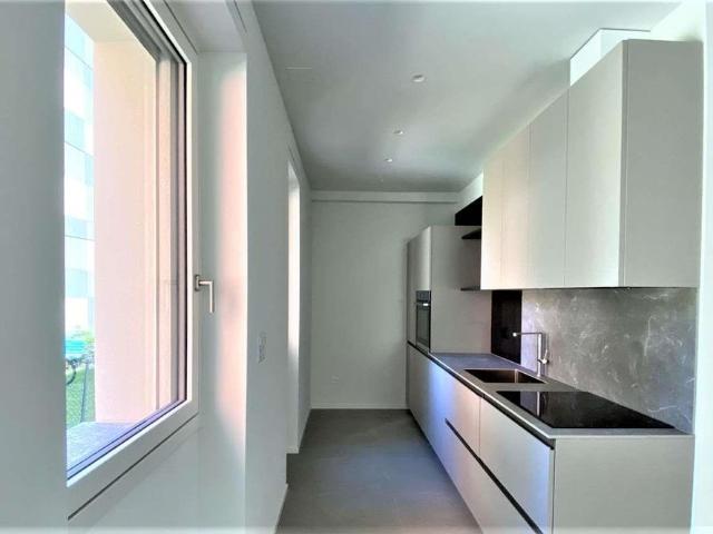 Apartment mieten in Circolo di Lugano est, Lugano