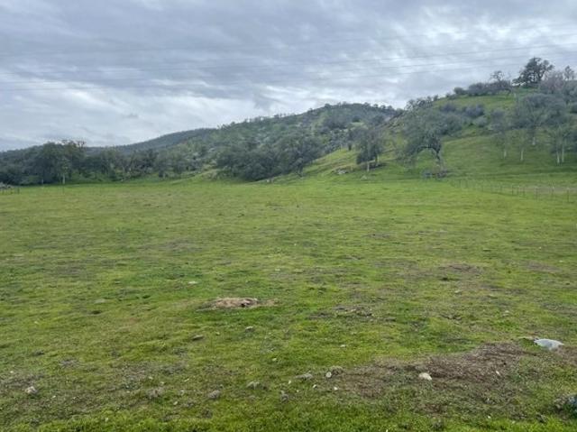 Land for sale in Sanger, California