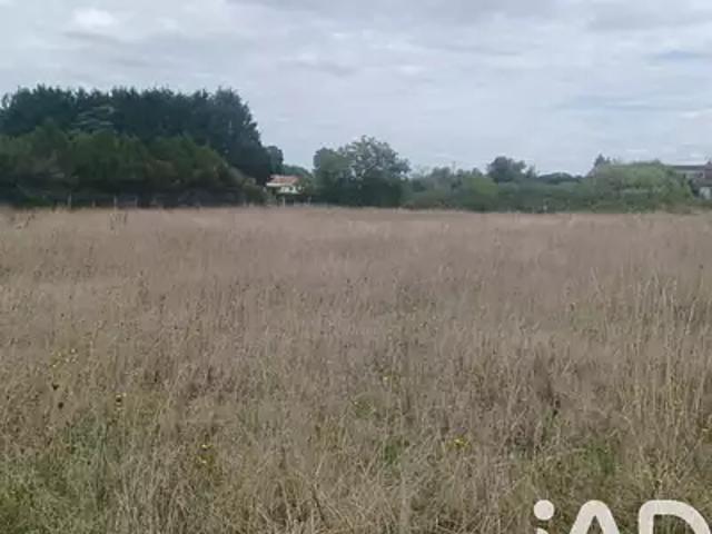 Terrain vente à Jonzac, Belluire
