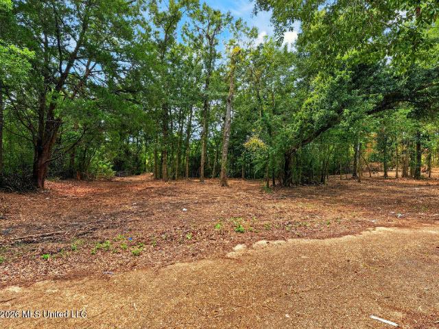 Land for sale in Moss Point, Mississippi