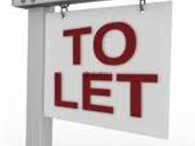 House to rent