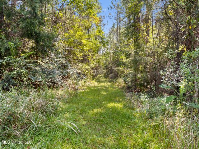 Land for sale in Gautier, Jackson County