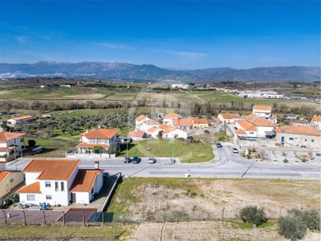 Terreno venda em Castelo Branco