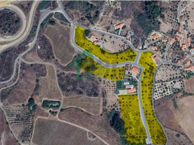 Terreno venda em Castelo Branco