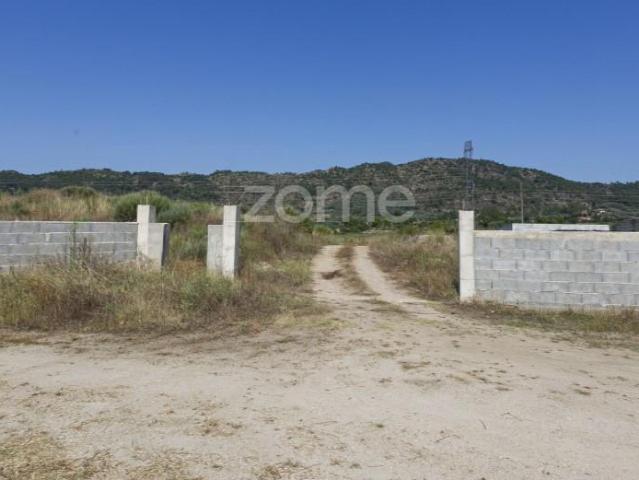 Terreno venda em Castelo Branco