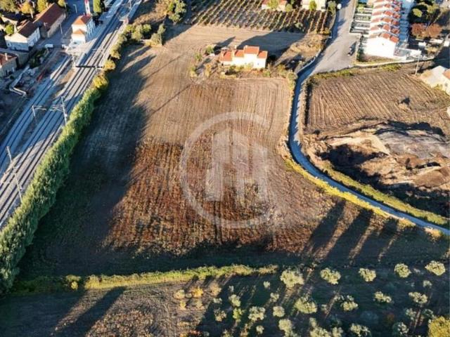 Terreno venda em Castelo Branco