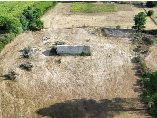 Terreno venda em Castelo Branco