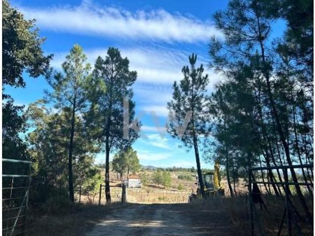 Terreno venda em Castelo Branco, Caria