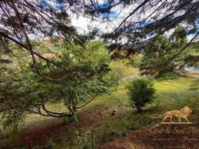Terreno venda em Região Imediata de Taubaté-Pindamonhangaba, Região Metropolitana do Vale do Paraíba e Litoral Norte