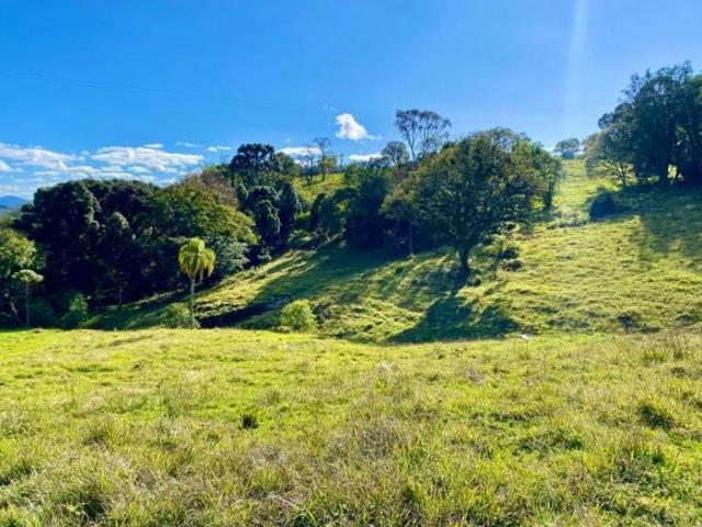 Sítio e chácara venda em Região Geográfica Imediata de Taquara - Parobé - Igrejinha, Três Coroas