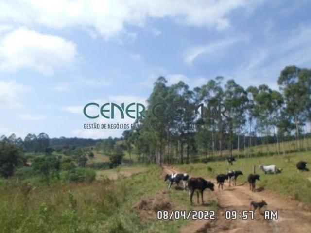 Sítio e chácara venda em Vila São Vicente, Entre Rios de Minas