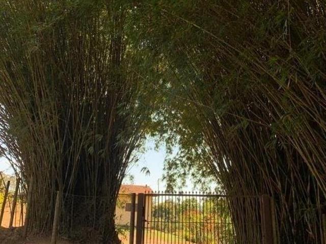 Sítio e chácara venda em Região Geográfica Imediata de Oliveira, Piedade dos Gerais