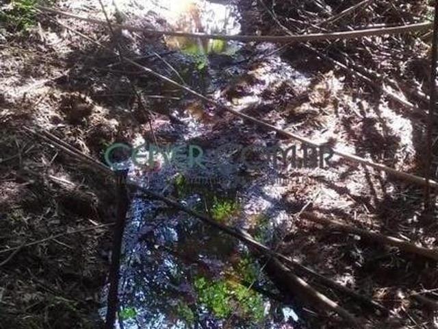 Sítio e chácara venda em Jeceaba, Região Geográfica Intermediária de Divinópolis