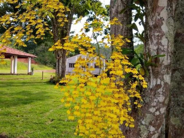 Sítio e chácara venda em Região Imediata de São José dos Campos, Região Metropolitana do Vale do Paraíba e Litoral Norte