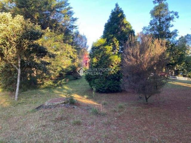 Terreno venda em Região Geográfica Imediata de Caxias do Sul, São Francisco de Paula