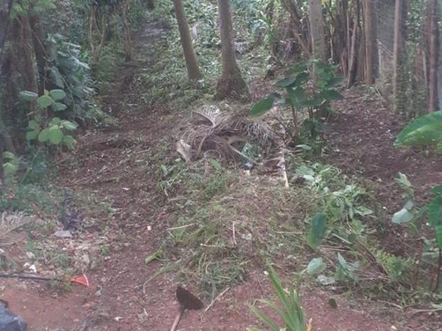 Terreno venda em Região Imediata de São Paulo, Região Metropolitana de São Paulo