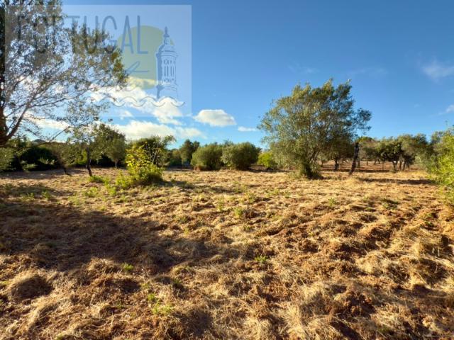 Terreno venda em Loulé, Faro
