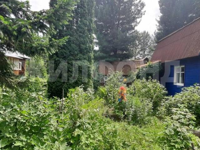 Квартира продажа в Новосибирская область