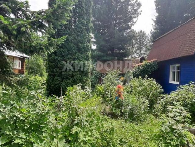 Квартира продажа в Новосибирская область