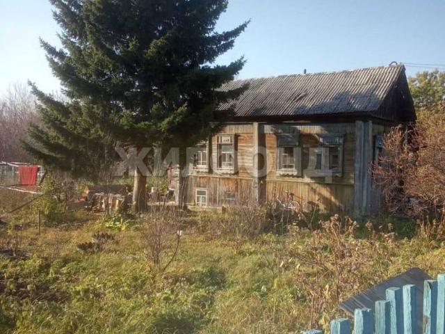 Квартира продажа в Новосибирская область