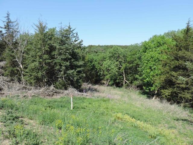 Land for sale in Yankton, South Dakota