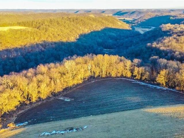 Land for sale in Cochrane