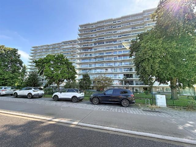 Appartement location à Tienen, Brabant