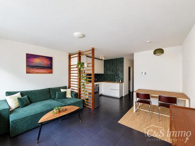 Appartement location à Borgerhout Intra Muros, Antwerpen