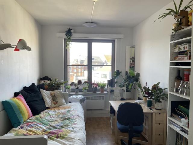 Kot location à Desteldonk, Oost-Vlaanderen
