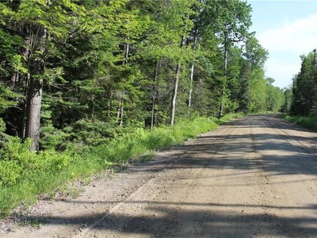 Land for sale in Rangeley, Maine