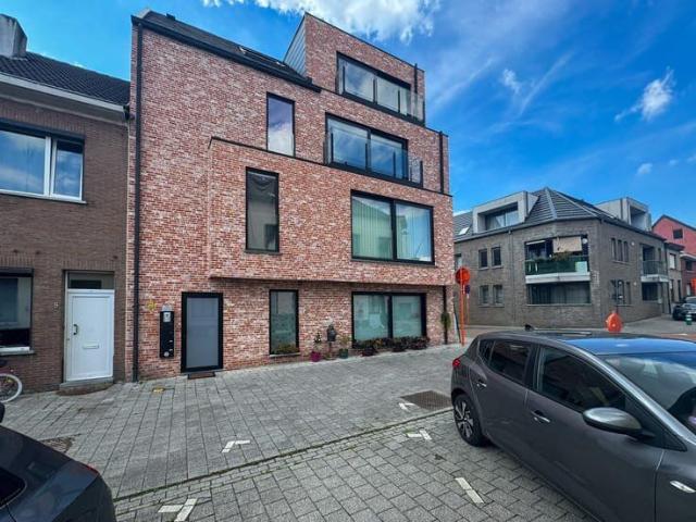 Kot location à Tamise, Oost-Vlaanderen