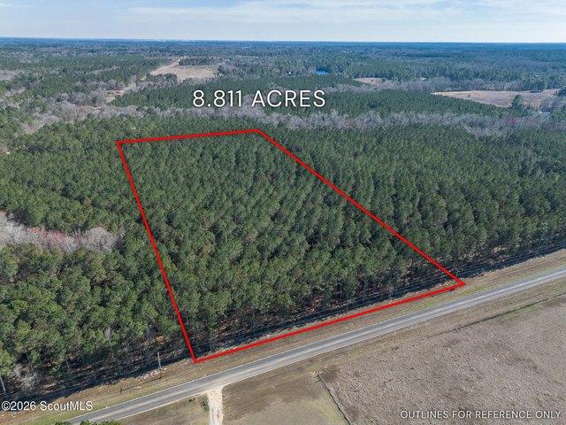 Land for sale in Dodge, Georgia