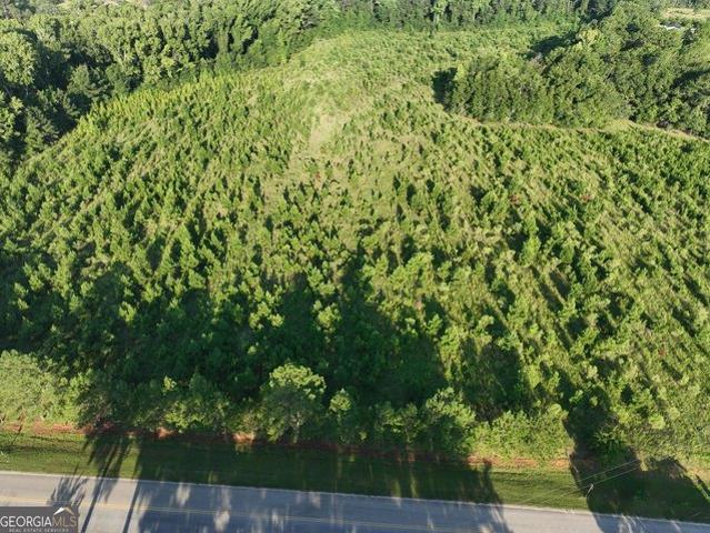 Land for sale in Portal, Bulloch County