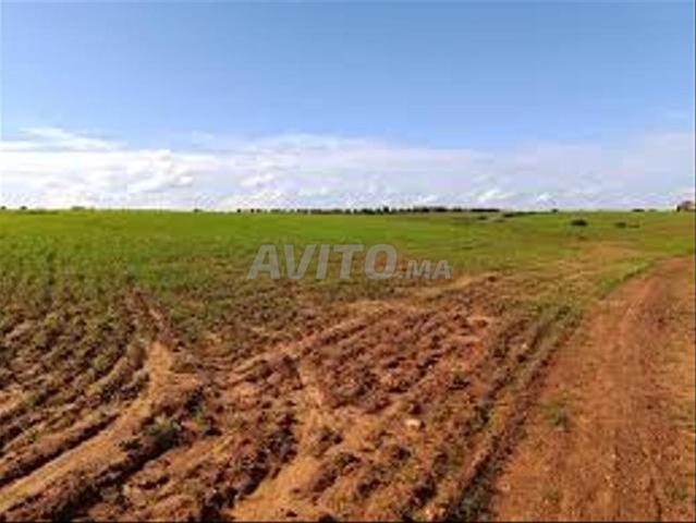 Propriété vente à Gharb-Chrarda-Beni Hssen