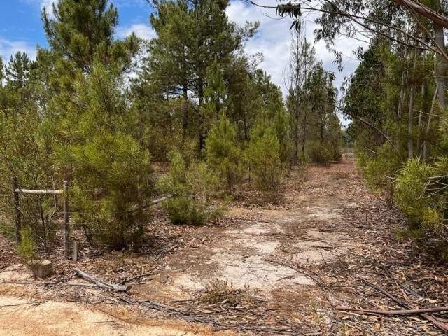 Terreno venda em Benavente, Santarém