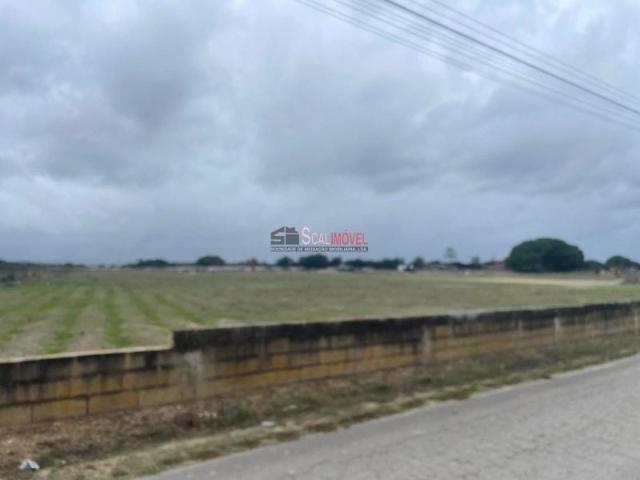 Terreno venda em Benavente, Santarém