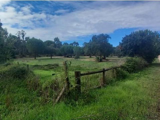 Terreno venda em Benavente, Santarém